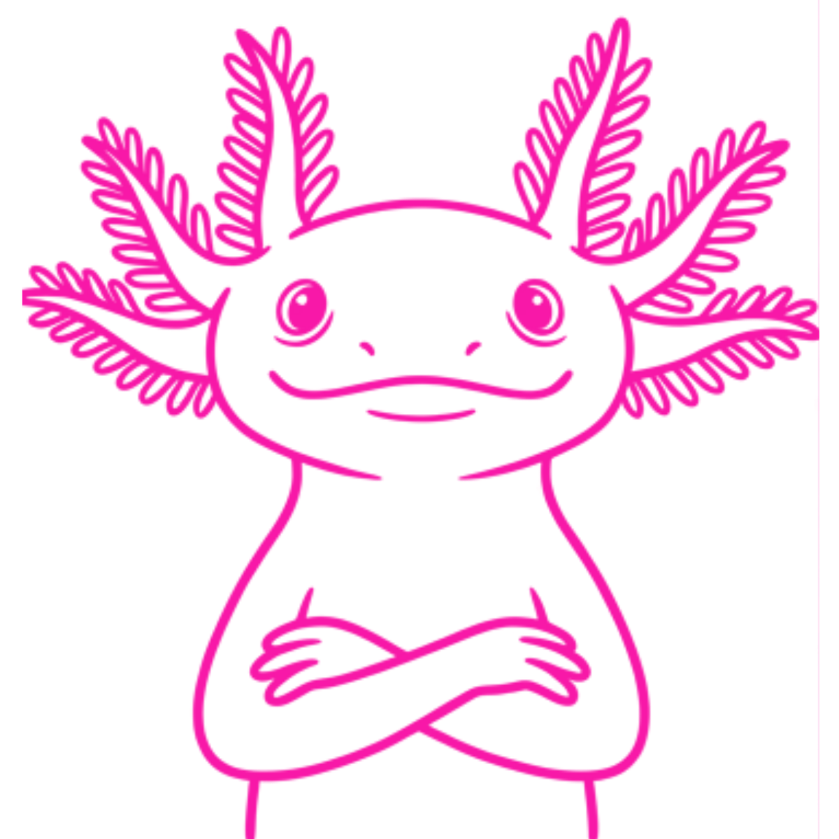 Axolotl